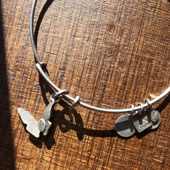 Two Alex and Ani bracelets the Sister and Butterfly Bracelets - Picture 2 of 8